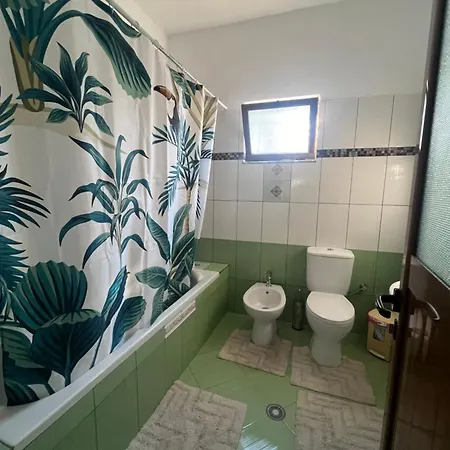 Andrew's Place Apartment Gjashte