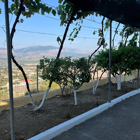 شقة Andrew's Place