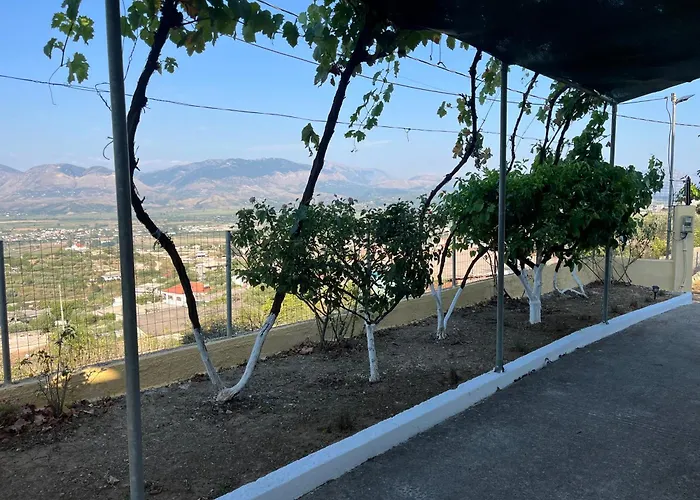 Apartment Andrew's Place